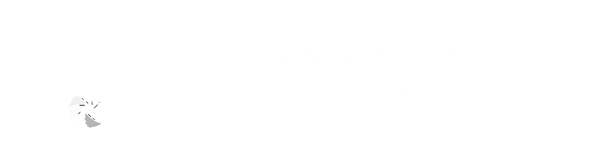 Chrysalis Photo Circuit